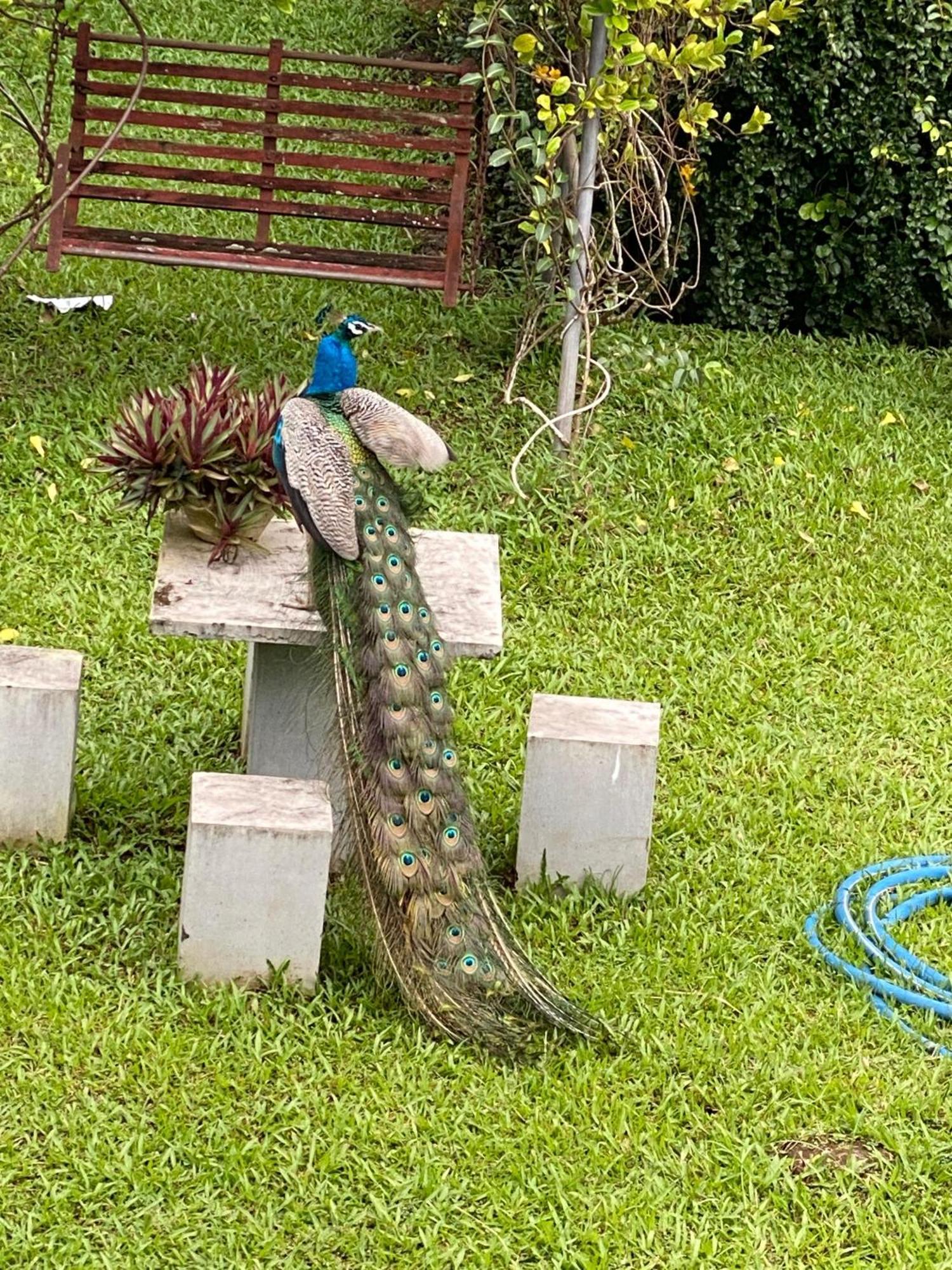 Waasala Leisure Hotel Anuradhapura Eksteriør billede